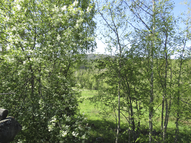 vår